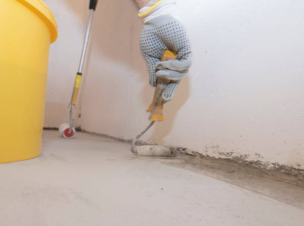 Best Bed Bug Extermination  in Frisco, TX